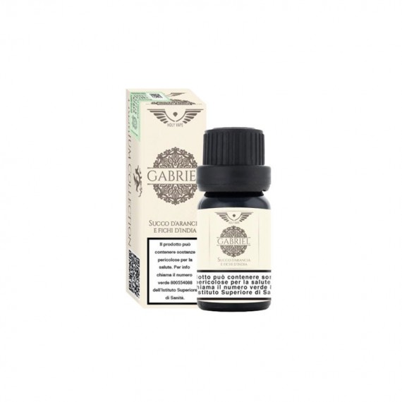 Holy Vape Gabriel Premium Aroma Concentrato 10ml 0mg/ml